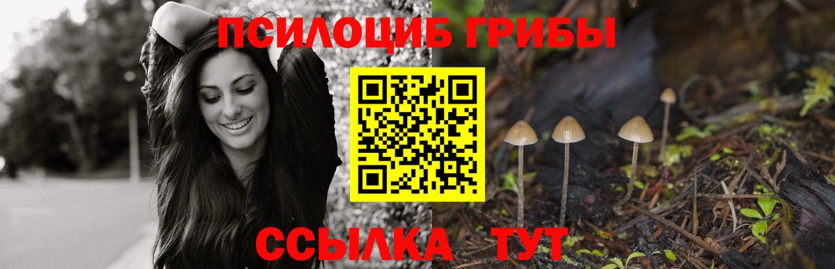 Галлюциногенные грибы мицелий Черногорск